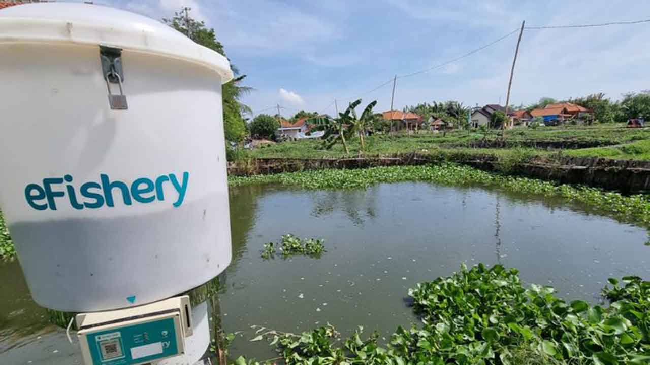 Efishery - Inilah Daftar Startup Bidang Perikanan yang Berkembang di Indonesia