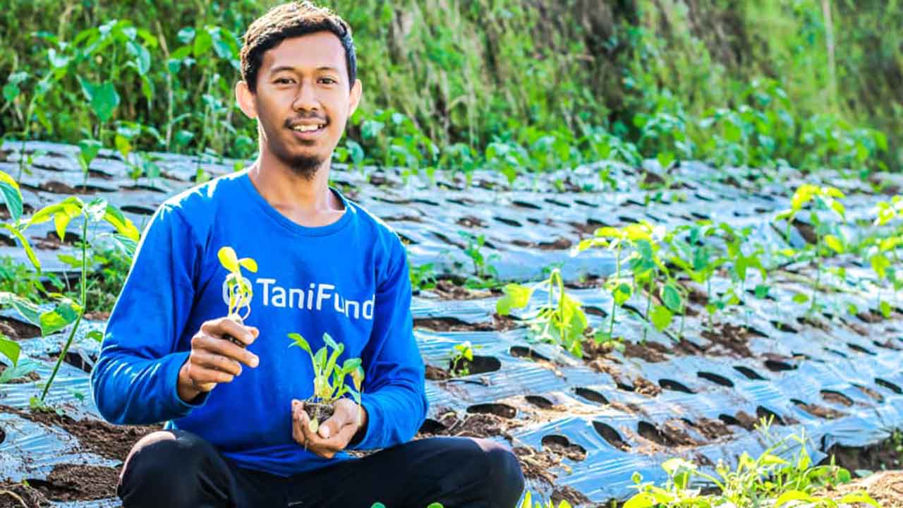 TaniFund - Daftar Startup Bidang Pertanian yang Berkembang di Indonesia